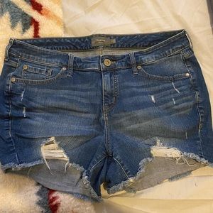Torrid Size 16 Distressed Denim Short